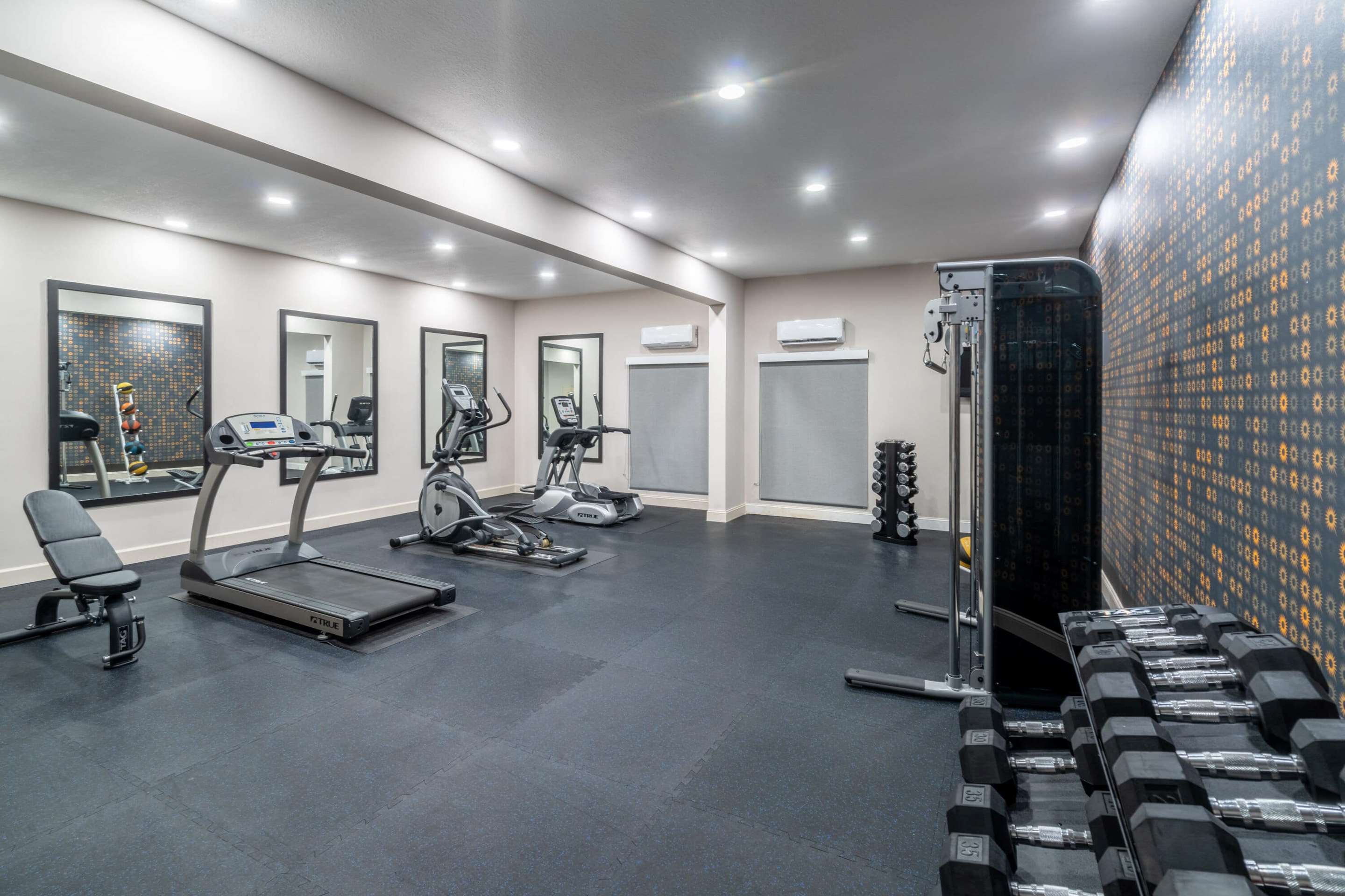 Health club fitness center gym