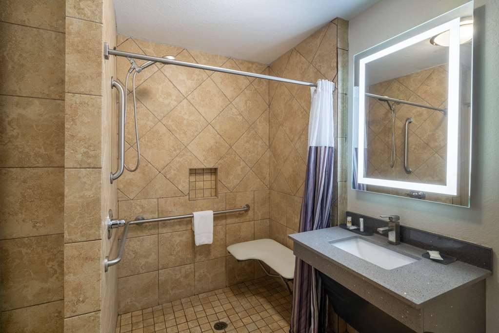LA QUINTA INN STE PRATTVILLE-guestroom-Guest Room,Bathroom,Shower,Accessibility,On-Site.jpg