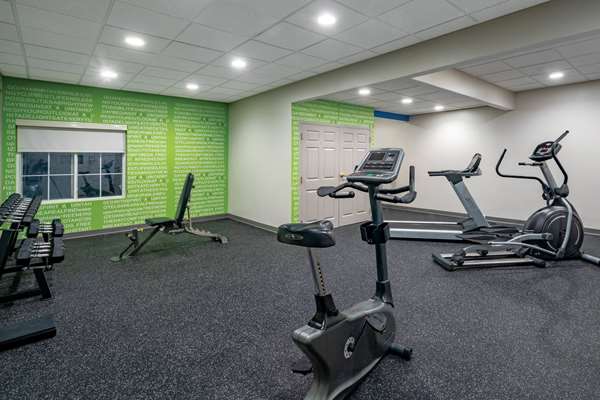 Fitness/ Exercise Room - La Quinta Inn & Suites Albany Airport Latham - I-87, Exit 6