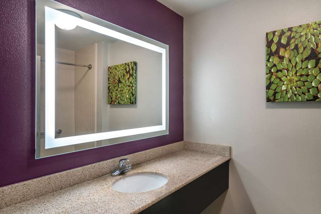 LA QUINTA INN STE LATHAM ALBANY AP-guestroom-Guest Room,Bathroom,On-Site.jpg