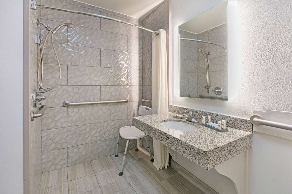 LA QUINTA INN STE FREDERICKSBURG-guestroom-Guest Room,Bathroom,Shower,Accessibility,On-Site.jpg