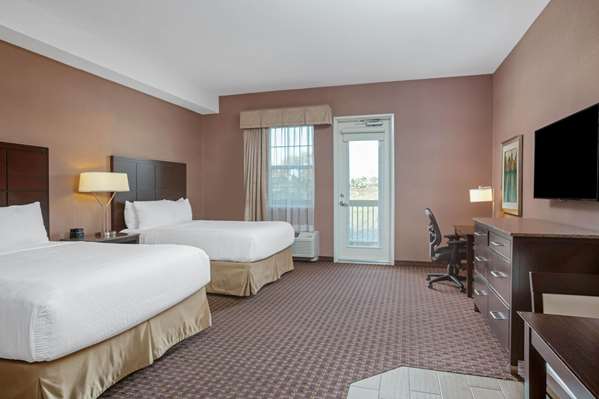 Suite - La Quinta Inn & Suites Paso Robles