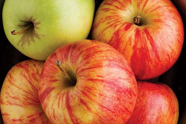  - La Quinta Inn & Suites Cincinnati Airport Florence - I-71 & I-75, Exit 182