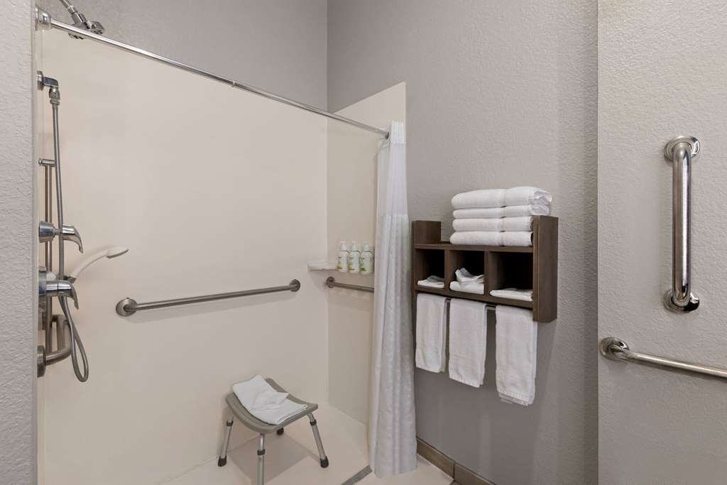 LA QUINTA RAPID CITY-guestroom-Guest Room,Bathroom,Shower,Accessibility,On-Site.jpg