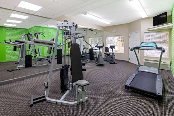 Fitness/ Exercise Room - La Quinta Inn & Suites Macon - I-75, Exit 169