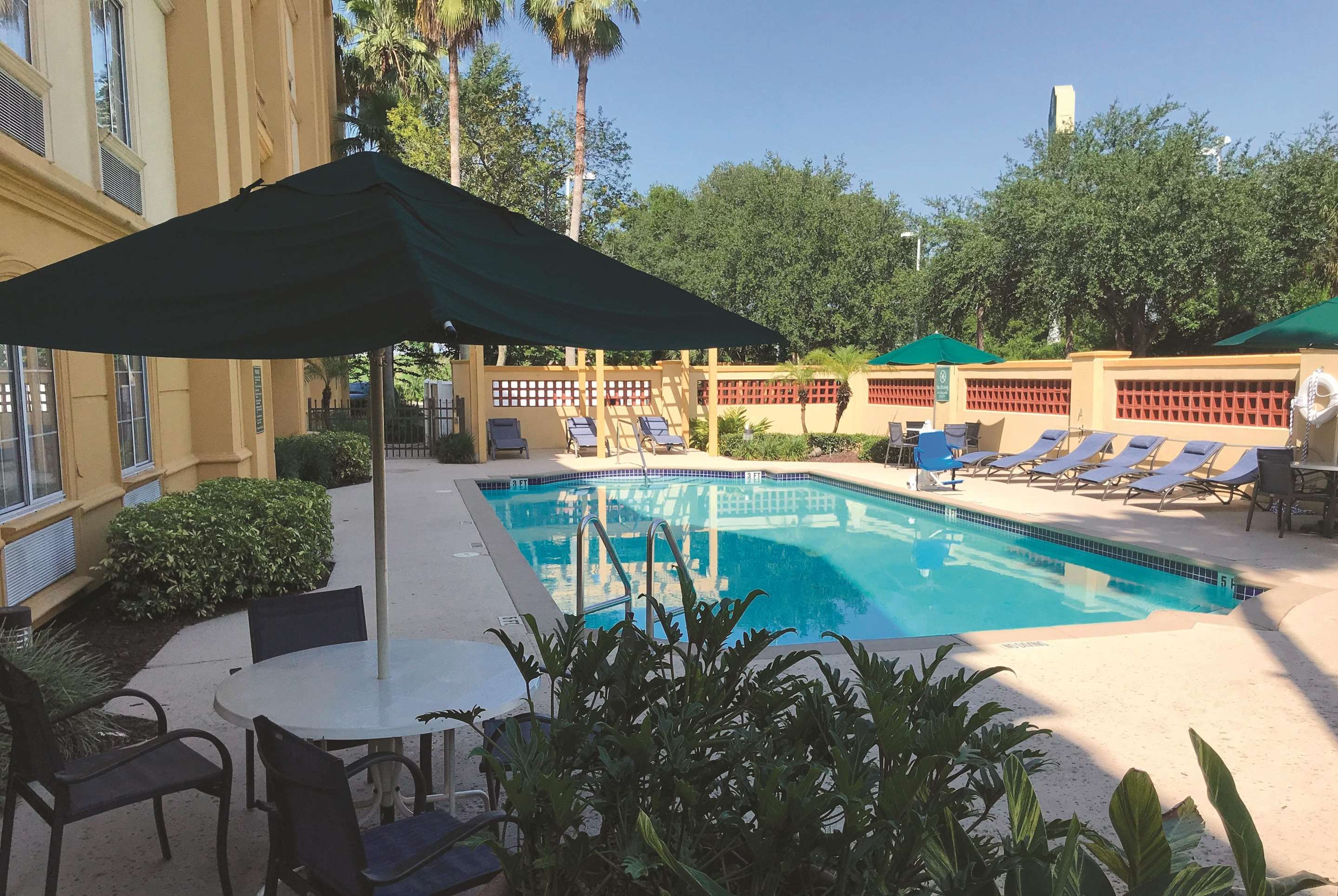 Pool | La Quinta Inn & Suites by Wyndham Tampa Brandon Regency Park