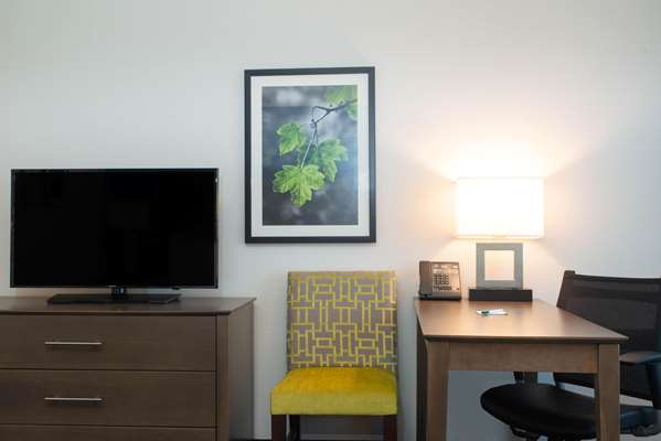  - La Quinta Inn & Suites Brandon - I-75, Exit 257