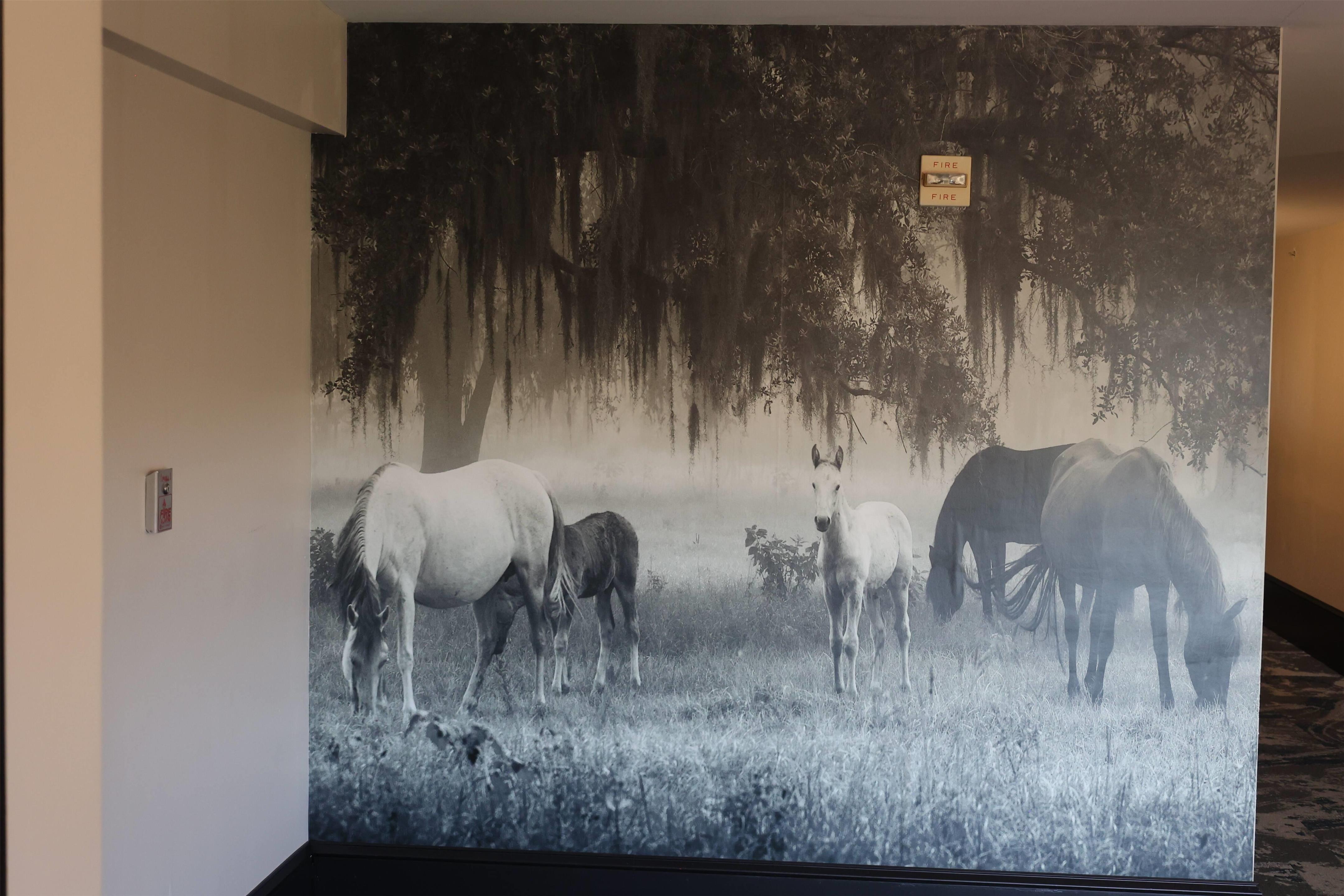 Property amenity | La Quinta Inn & Suites by Wyndham Ocala