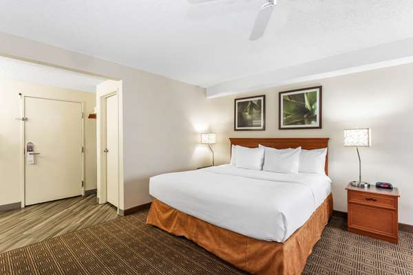 Suite - La Quinta Inn South Orlando - FL Turnpike, Exit 254
