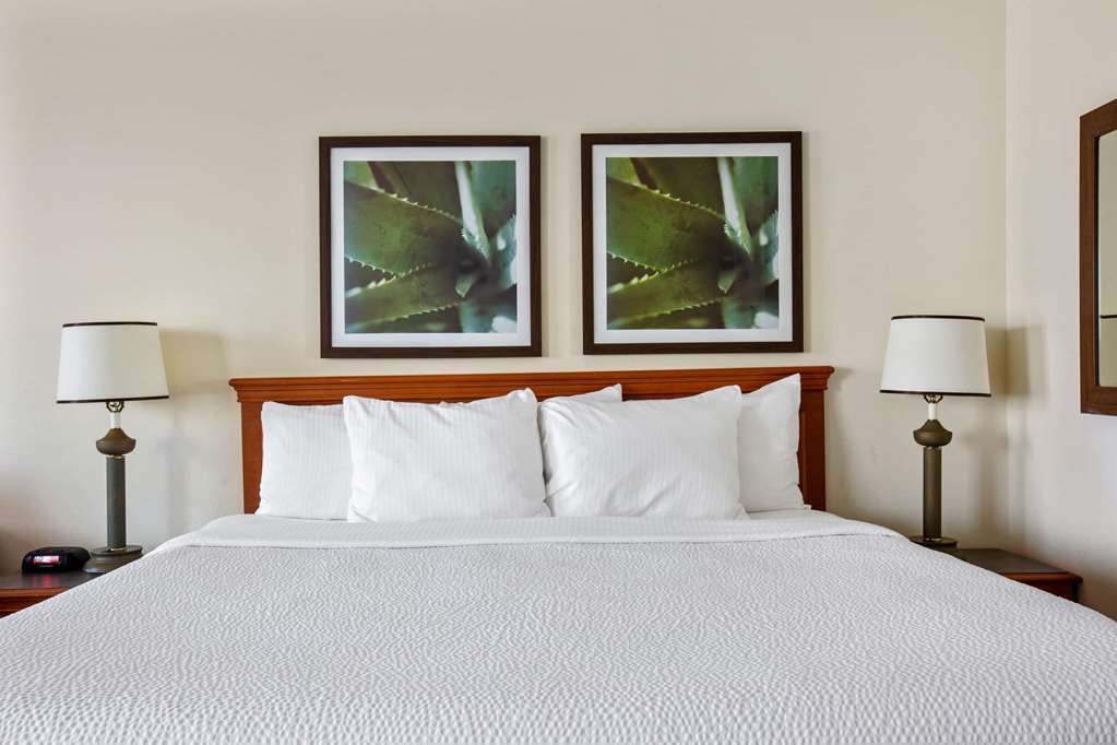 LA QUINTA INN STE SUNRISE SAWGRASS-guestroom-Guest Room,Suite,On-Site.jpg