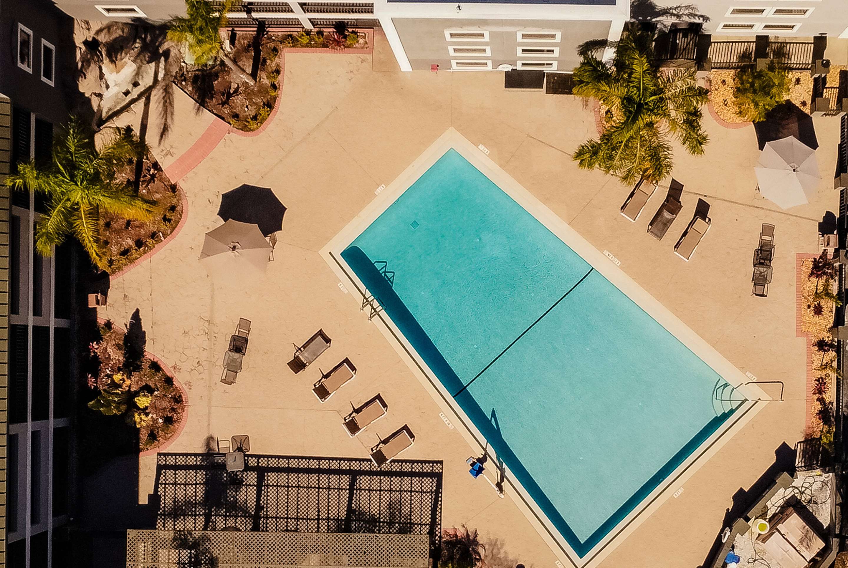 Pool | La Quinta Inn by Wyndham Tampa Near Busch Gardens