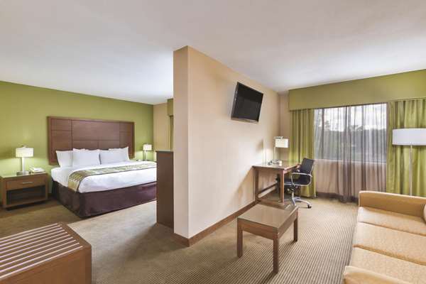 Suite - La Quinta Inn North Austin - I-35, Exit 240