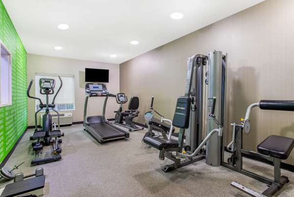 Fitness/ Exercise Room - La Quinta Inn & Suites Fultondale - I-65, Exit 267