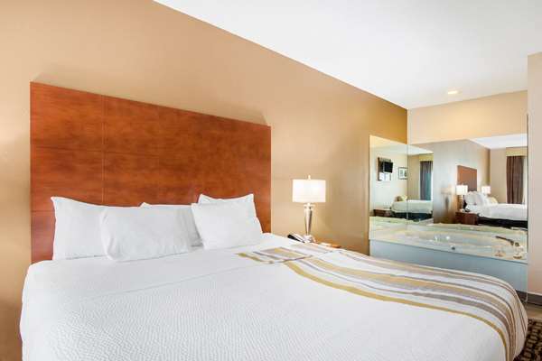 Suite - La Quinta Inn & Suites Decatur