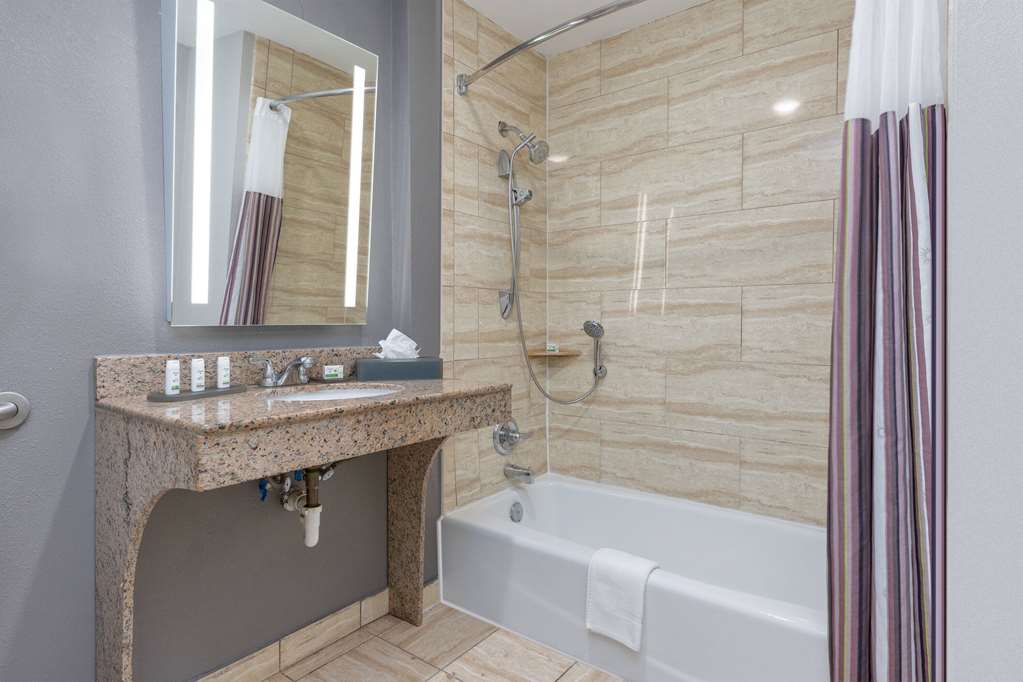 LA QUINTA INN STE ALLEN-guestroom-Guest Room,Bathroom,Accessibility,On-Site.jpg