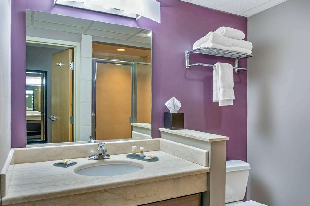 LA QUINTA INN RADFORD-guestroom-Guest Room,Bathroom,On-Site.jpg