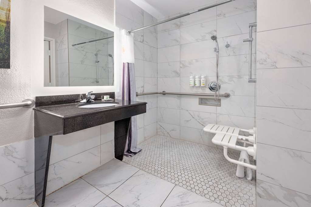 LA QUINTA INN STE ALVARADO-guestroom-Guest Room,Bathroom,Shower,Accessibility,On-Site.jpg