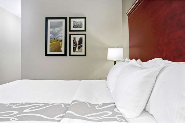  - La Quinta Inn & Suites Fairfield - I-45, Exit 198