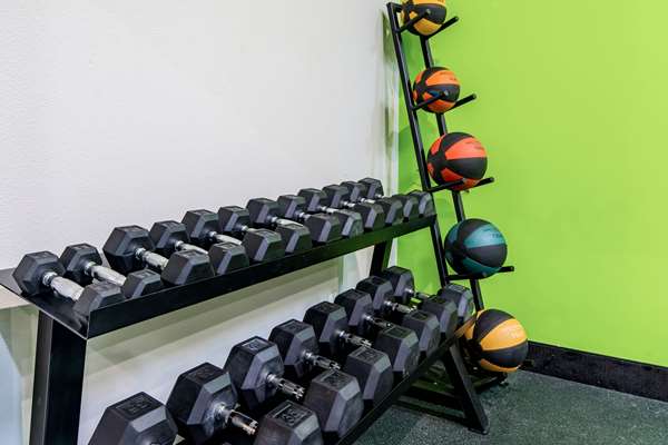 Fitness/ Exercise Room - La Quinta Inn & Suites Alamo