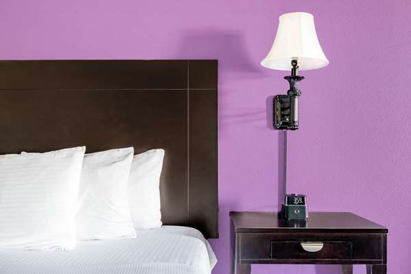  - La Quinta Inn & Suites Alamo