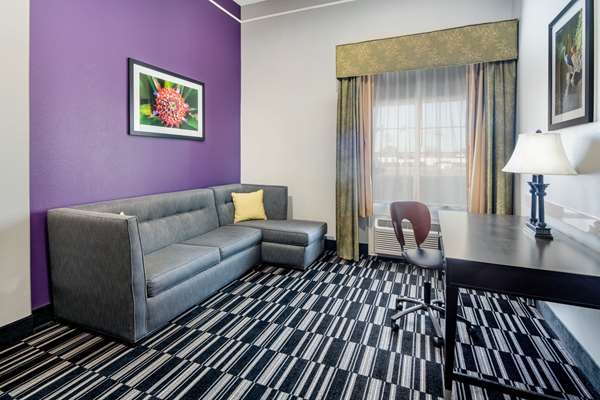 Suite - La Quinta Inn & Suites Alamo