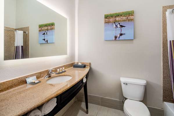  - La Quinta Inn & Suites Alamo