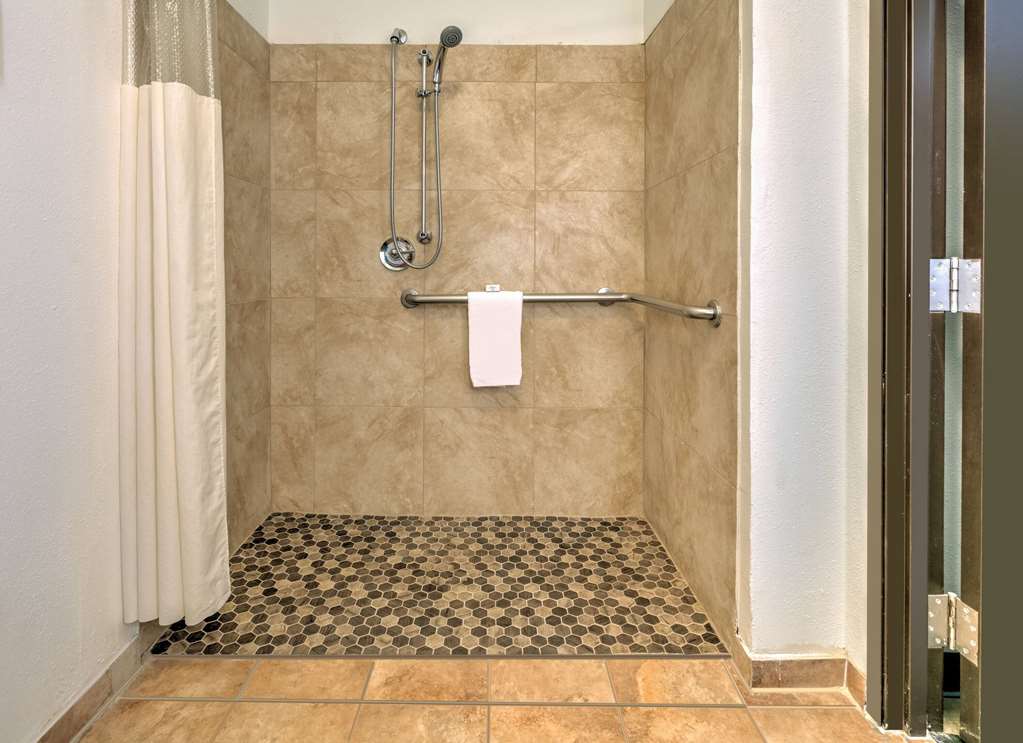 LA QUINTA INN STE FT WORTH NE MALL-guestroom-Guest Room,Bathroom,Shower,Accessibility,On-Site.jpg