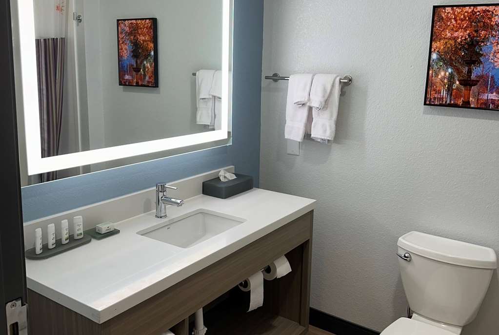 LA QUINTA INN STE MACON WEST-guestroom-Guest Room,Bathroom,On-Site.jpg