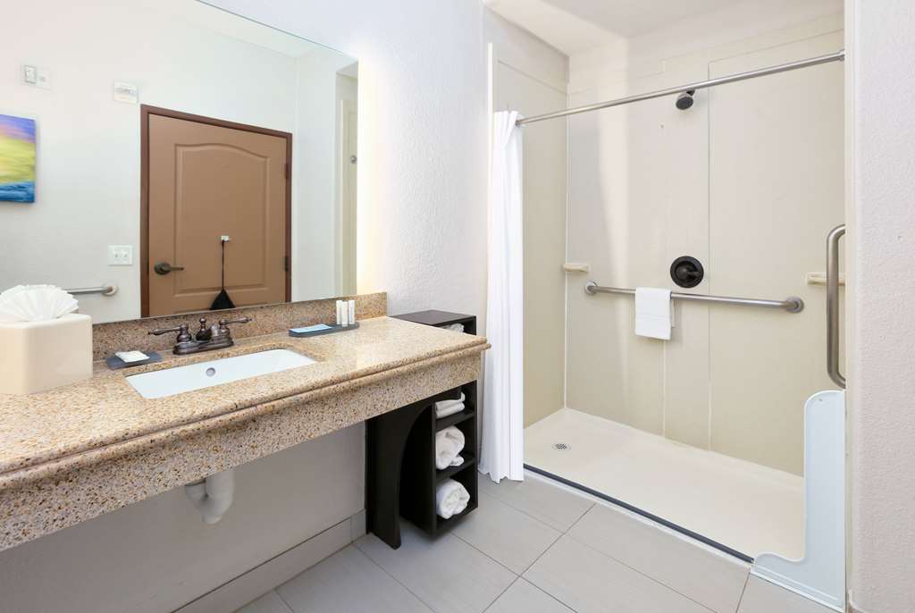 LA QUINTA INN STE GRAND PRAIRIE S-guestroom-Guest Room,Bathroom,Shower,Accessibility,On-Site.jpg