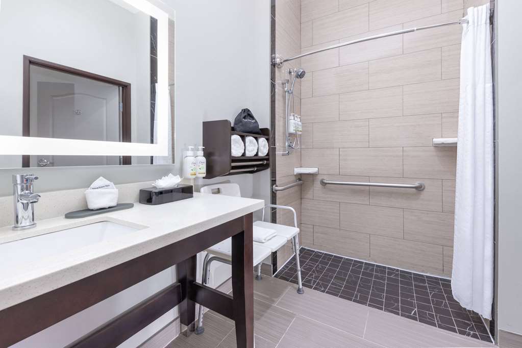 LA QUINTA INN STE TYLER-UNIV AREA-guestroom-Guest Room,Bathroom,Shower,Accessibility,On-Site.jpg