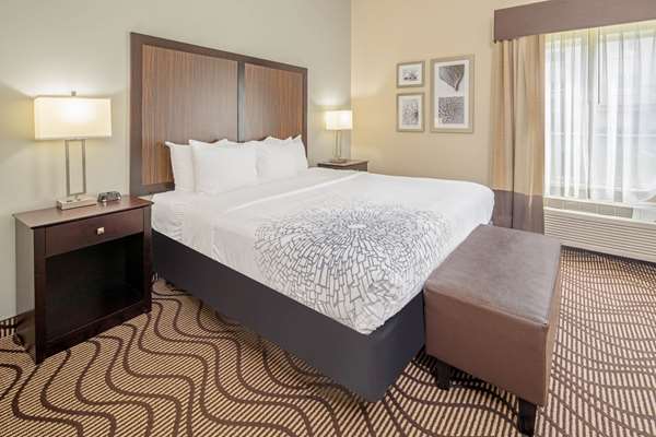 Suite - La Quinta Inn & Suites Gonzales - I-10, Exit 177
