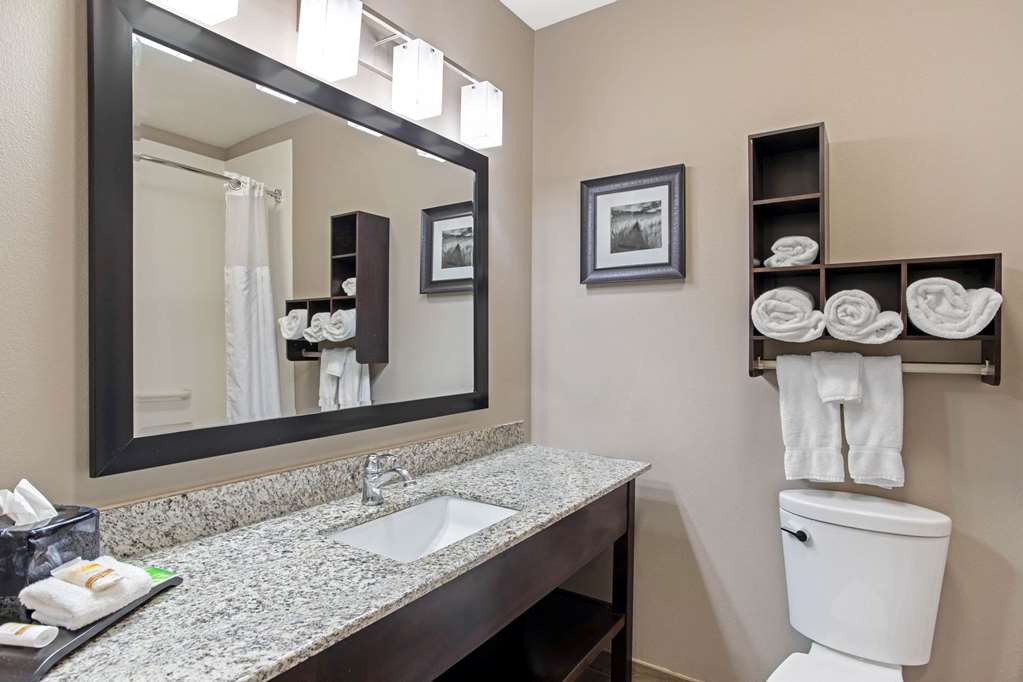 LA QUINTA INN STE PADUCAH-guestroom-Guest Room,Bathroom,On-Site.jpg