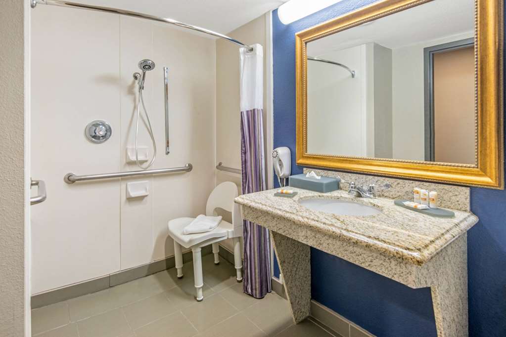LA QUINTA INN STE NORTH LAKE TEXOMA-guestroom-Guest Room,Bathroom,Shower,Accessibility,On-Site.jpg