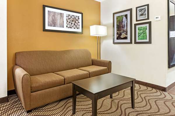 Suite - La Quinta Inn & Suites North Tampa - I-75, Exit 270