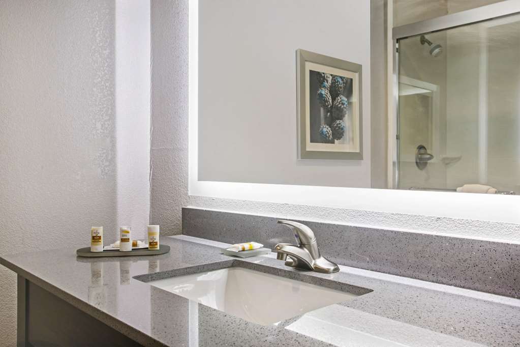 LA QUINTA INN STE VICTORIA - SOUTH-guestroom-Guest Room,Bathroom,On-Site.jpg