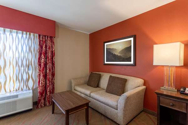  - La Quinta Inn & Suites Pigeon Forge