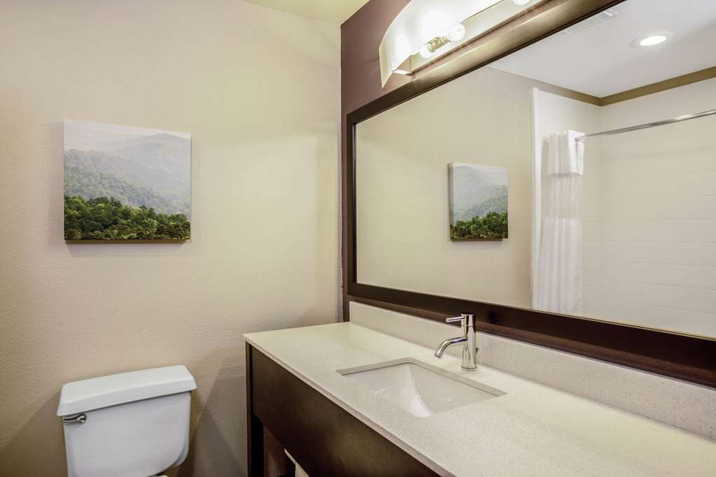LA QUINTA INN STE FAYETTEVILLE-guestroom-Guest Room,Bathroom,On-Site.jpg