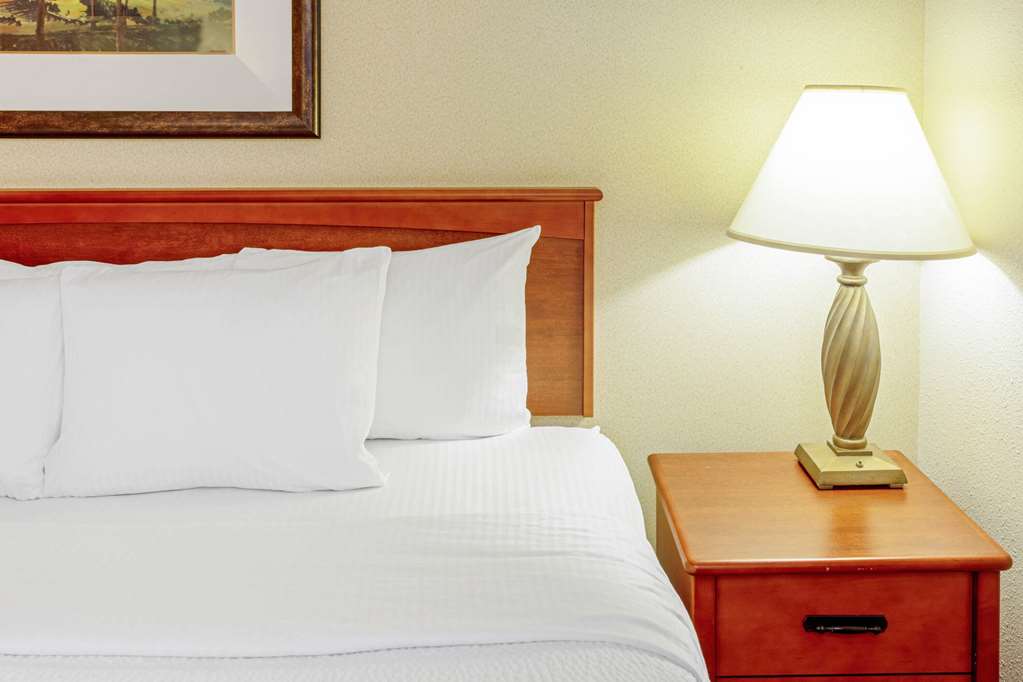 LA QUINTA INN STE APPLETON COLLEGE-guestroom-Guest Room,On-Site.jpg