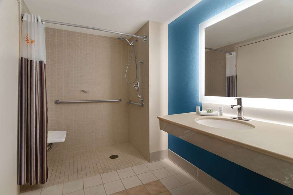 LA QUINTA INN STE MADISON AMERI CTR-guestroom-Guest Room,Bathroom,Shower,Accessibility,On-Site.jpg