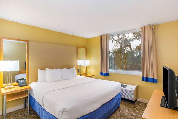 Suite - La Quinta Inn & Suites Sarasota