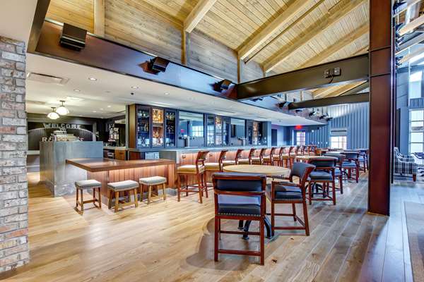 Bar - Campbell House Hotel Lexington