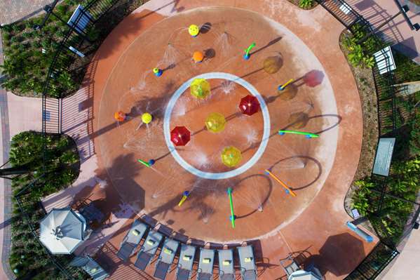 Pool - Las Palmeras Hotel by Hilton Grand Vacations Club Orlando