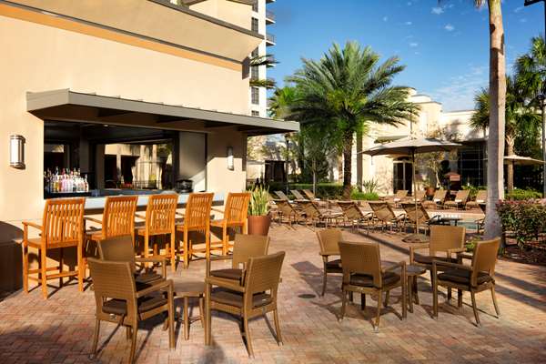 Pool - Las Palmeras Hotel by Hilton Grand Vacations Club Orlando