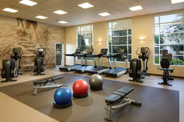 Fitness/ Exercise Room - Las Palmeras Hotel by Hilton Grand Vacations Club Orlando