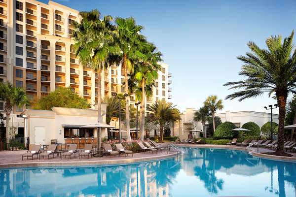 Pool - Las Palmeras Hotel by Hilton Grand Vacations Club Orlando