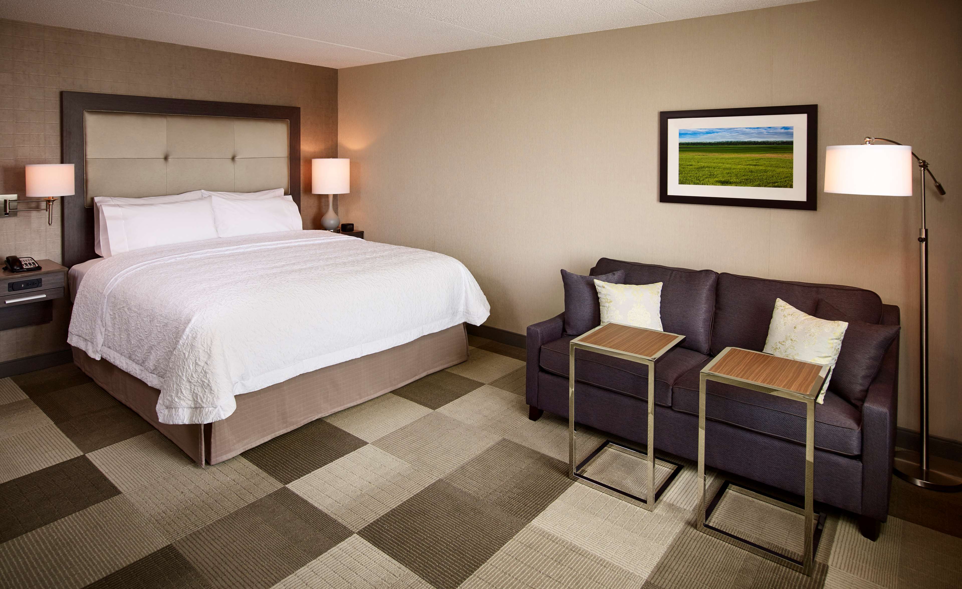 Hampton Inn by Hilton Sarnia/Point Edward Room Type - 1 KING W SOFABED NONSMOK