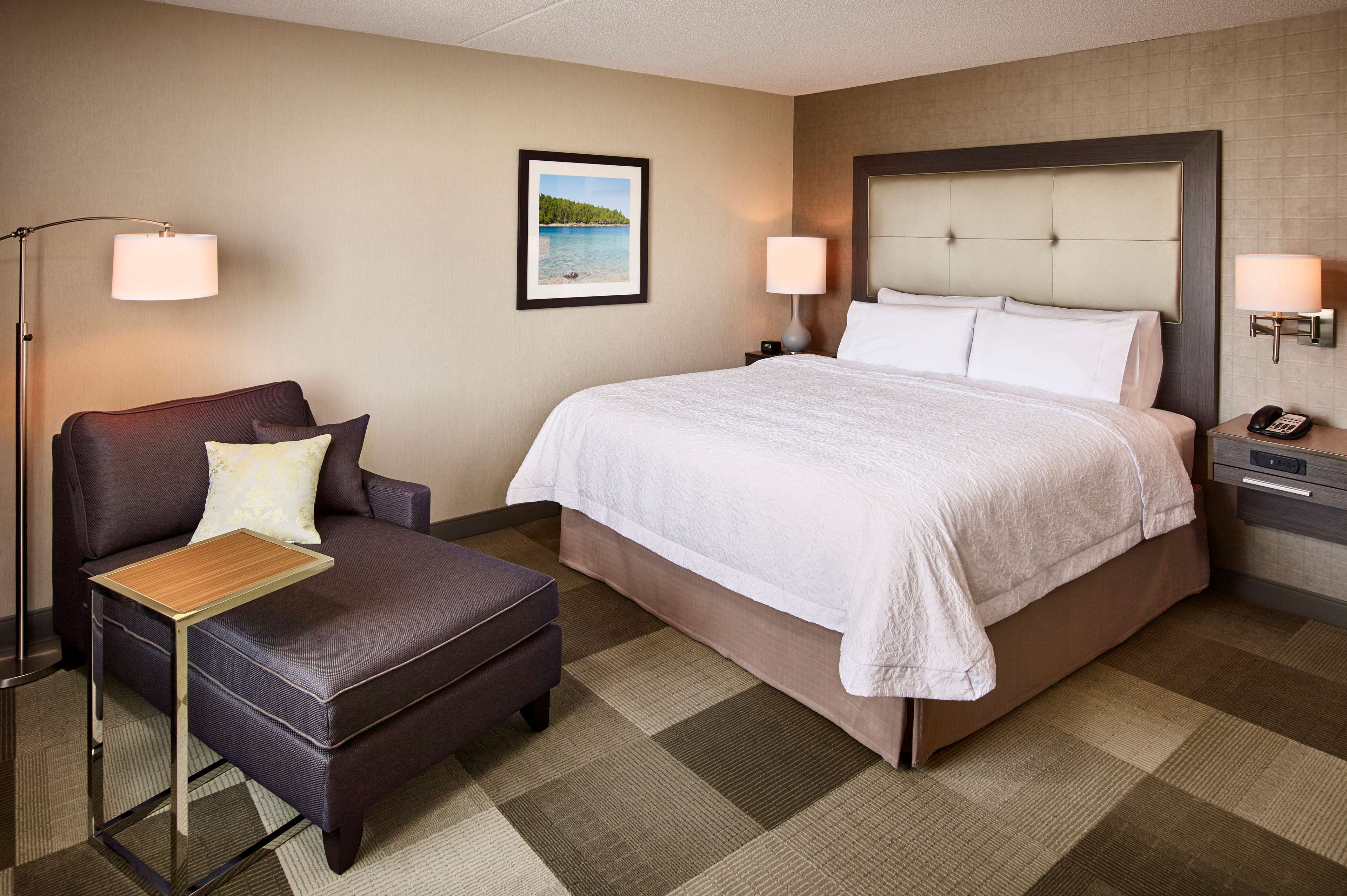 Hampton Inn by Hilton Sarnia/Point Edward Room Type - 1 KING NONSMOKING