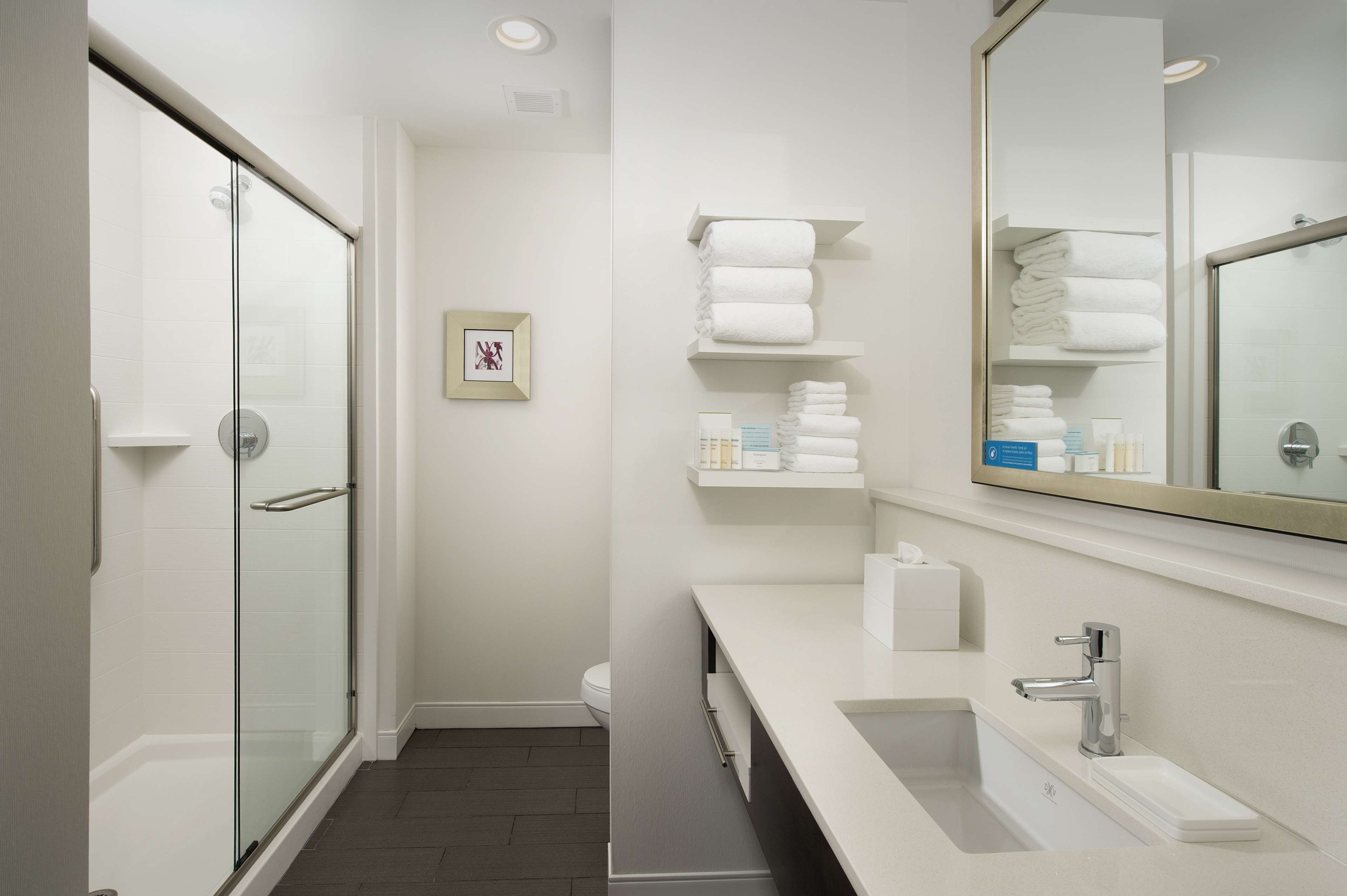 Hampton Inn by Hilton Hattiesburg Room Type - 1 KING MICROWV FRIDGE NS
