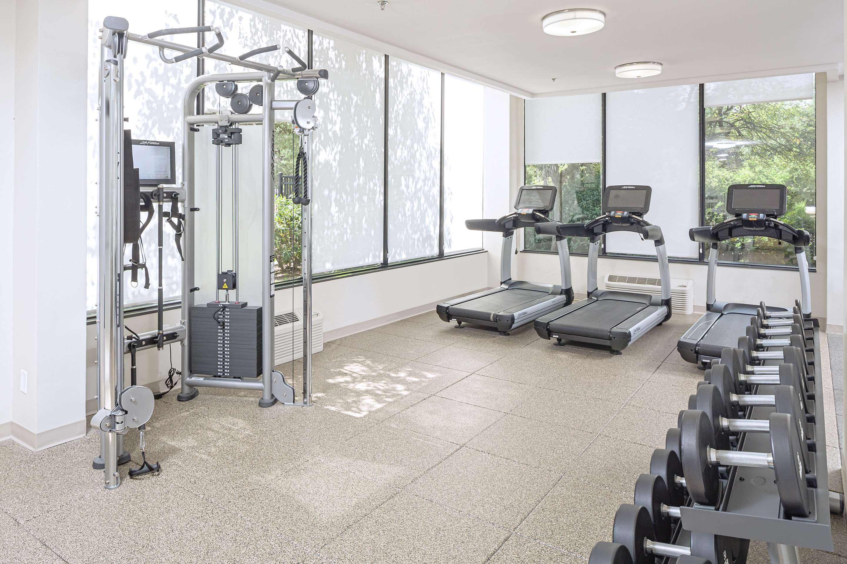 Health club fitness center gym