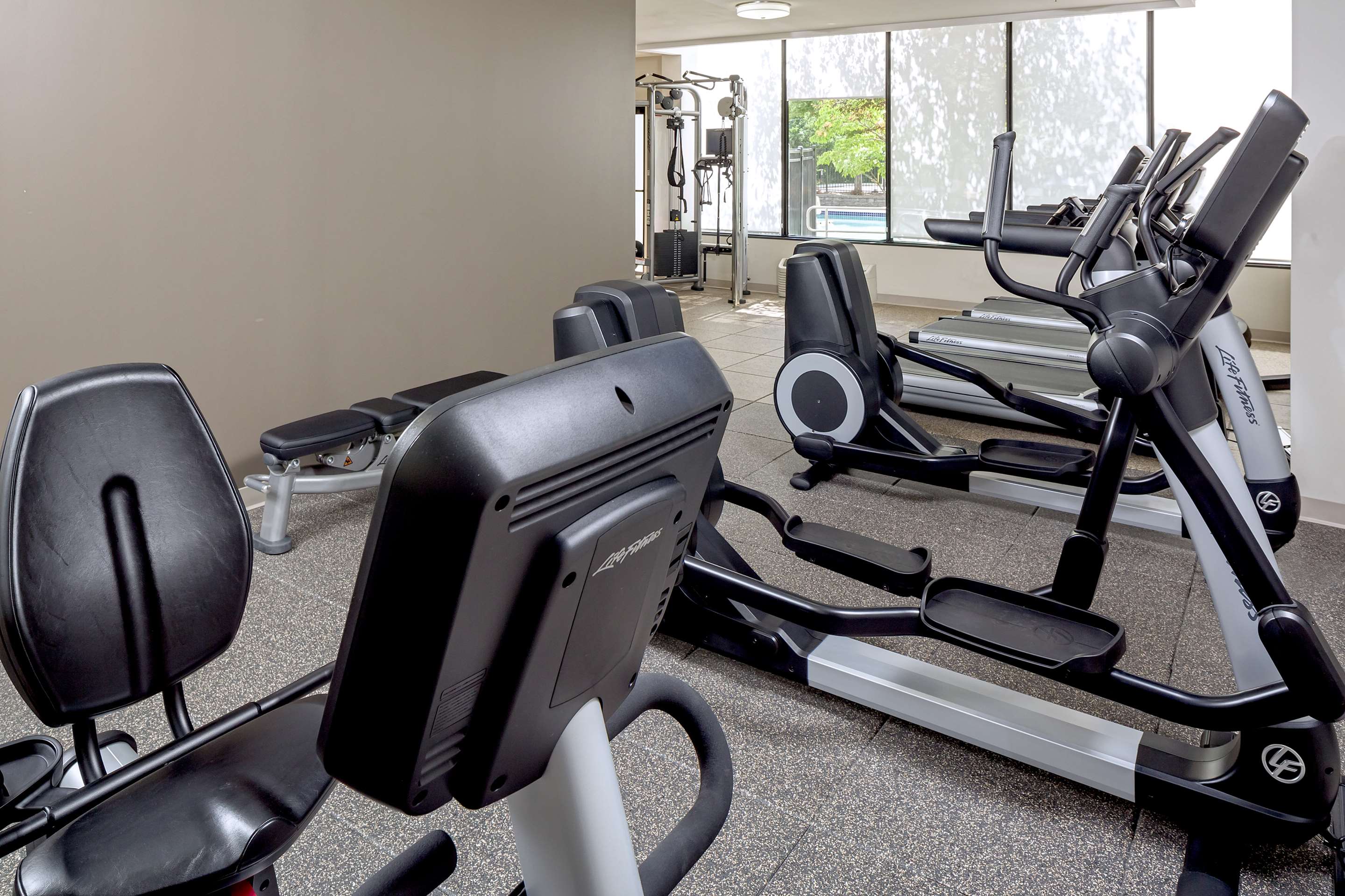 Health club fitness center gym